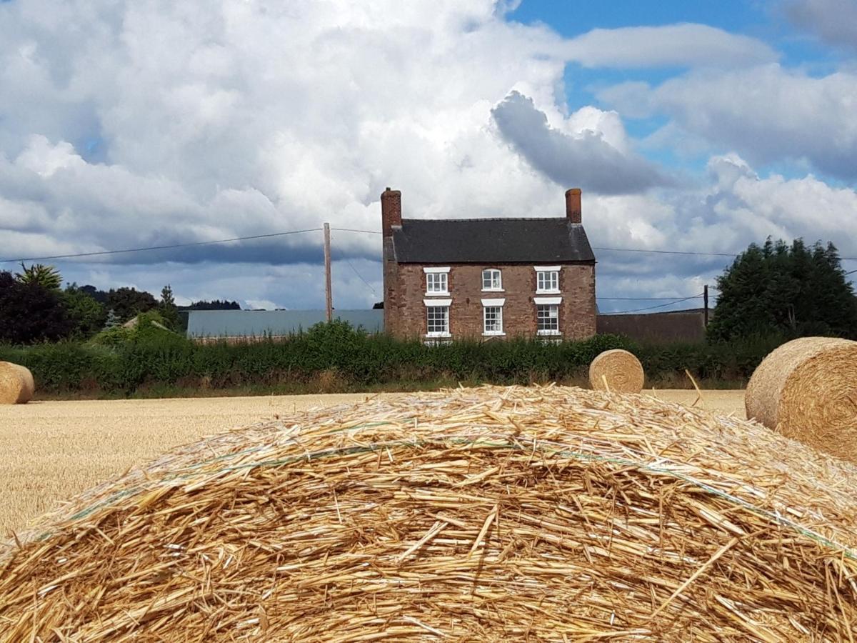 Upper Eyton Farmhouse B&B Alberbury ภายนอก รูปภาพ