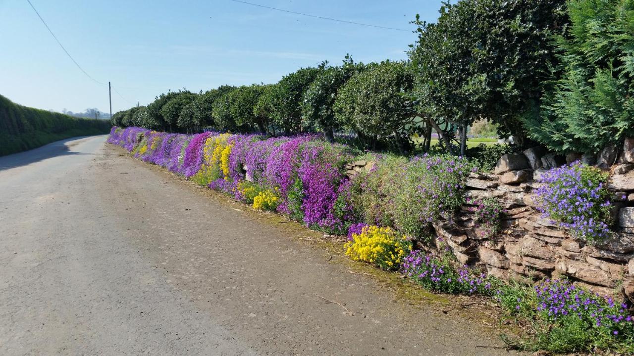 Upper Eyton Farmhouse B&B Alberbury ภายนอก รูปภาพ